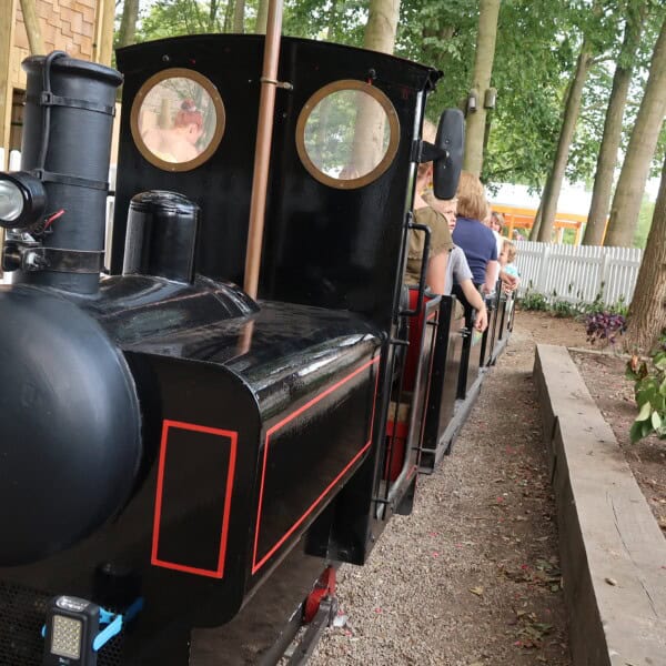 Springy's Railroad
