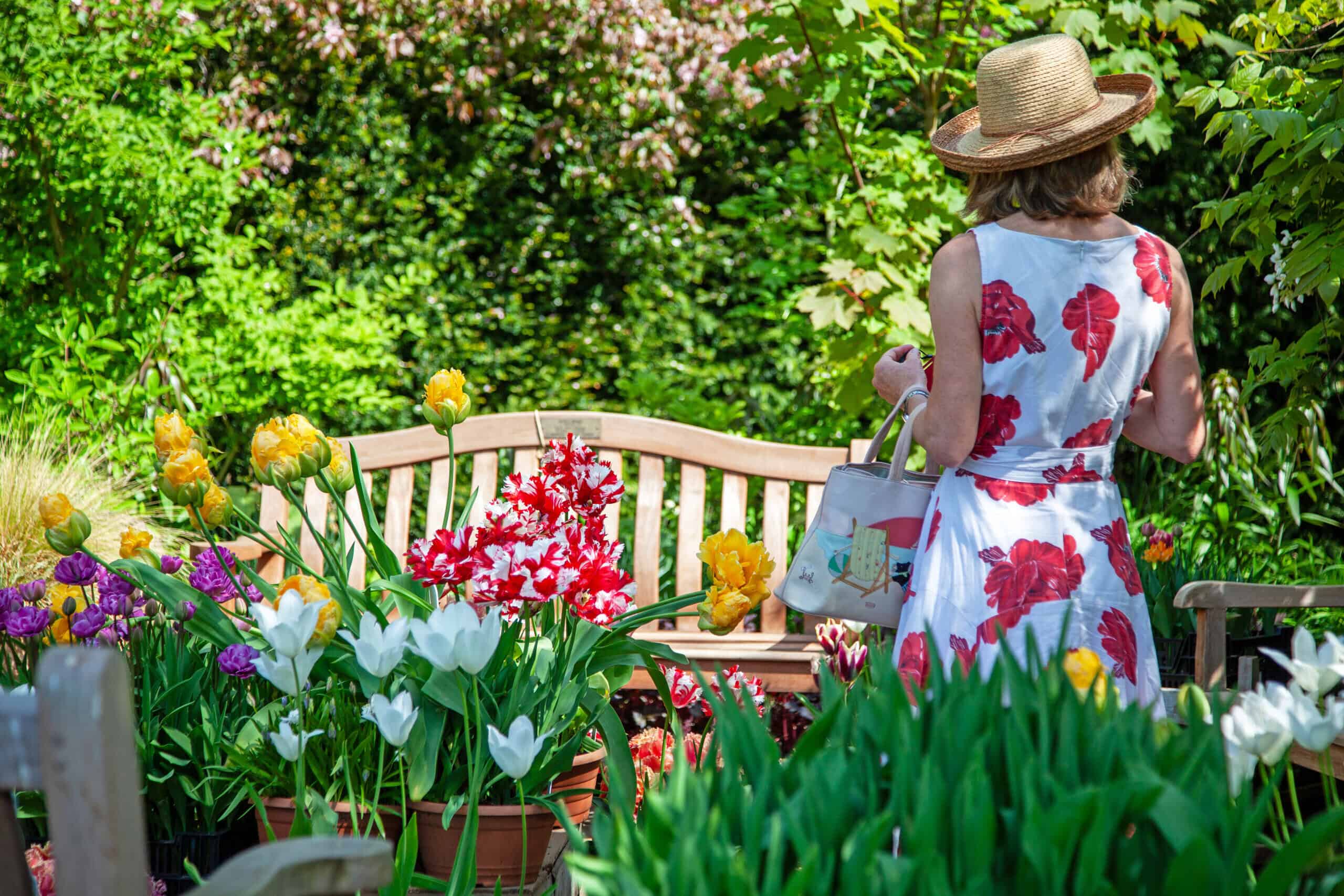 Springfields Festival Gardens