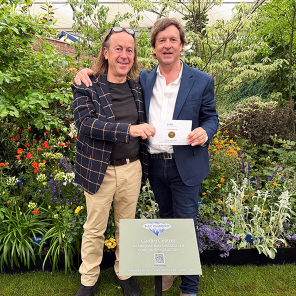 Blue Diamond WINS GOLD at Chelsea Flower Show